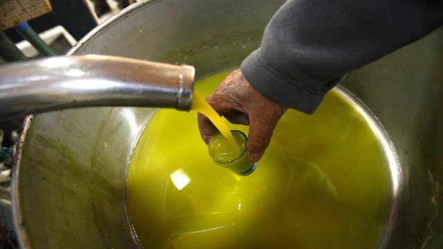 Çmimi i vajit të ullirit pritet të rritet sërish  shkak i nxehti ekstrem
