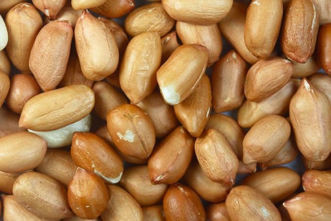 auv-ja-sekuestroi-kikirike-dhe-arra-ne-rajonin-e-shkupit