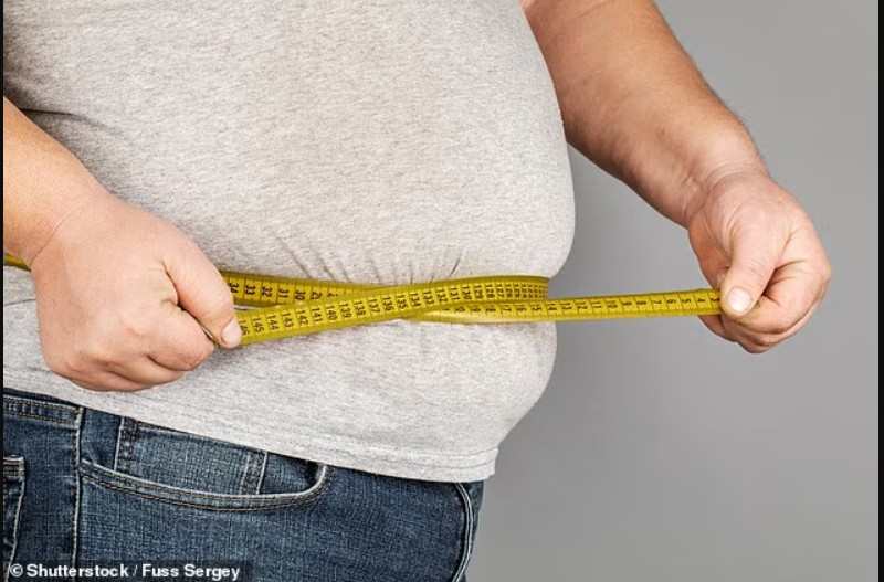 shkencetaret-rishikojne-konceptin-e-trashesise-deri-ne-60-me-shume-njerez-mund-te-klasifikohen-si-obeze