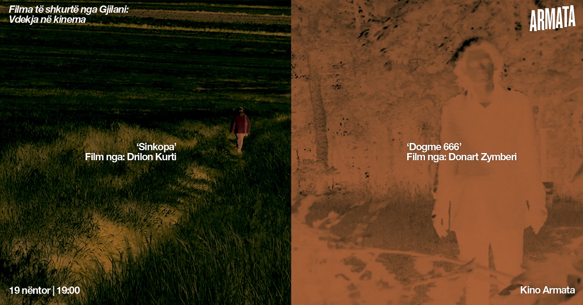 filma-te-shkurte-nga-gjilani-ne-armata