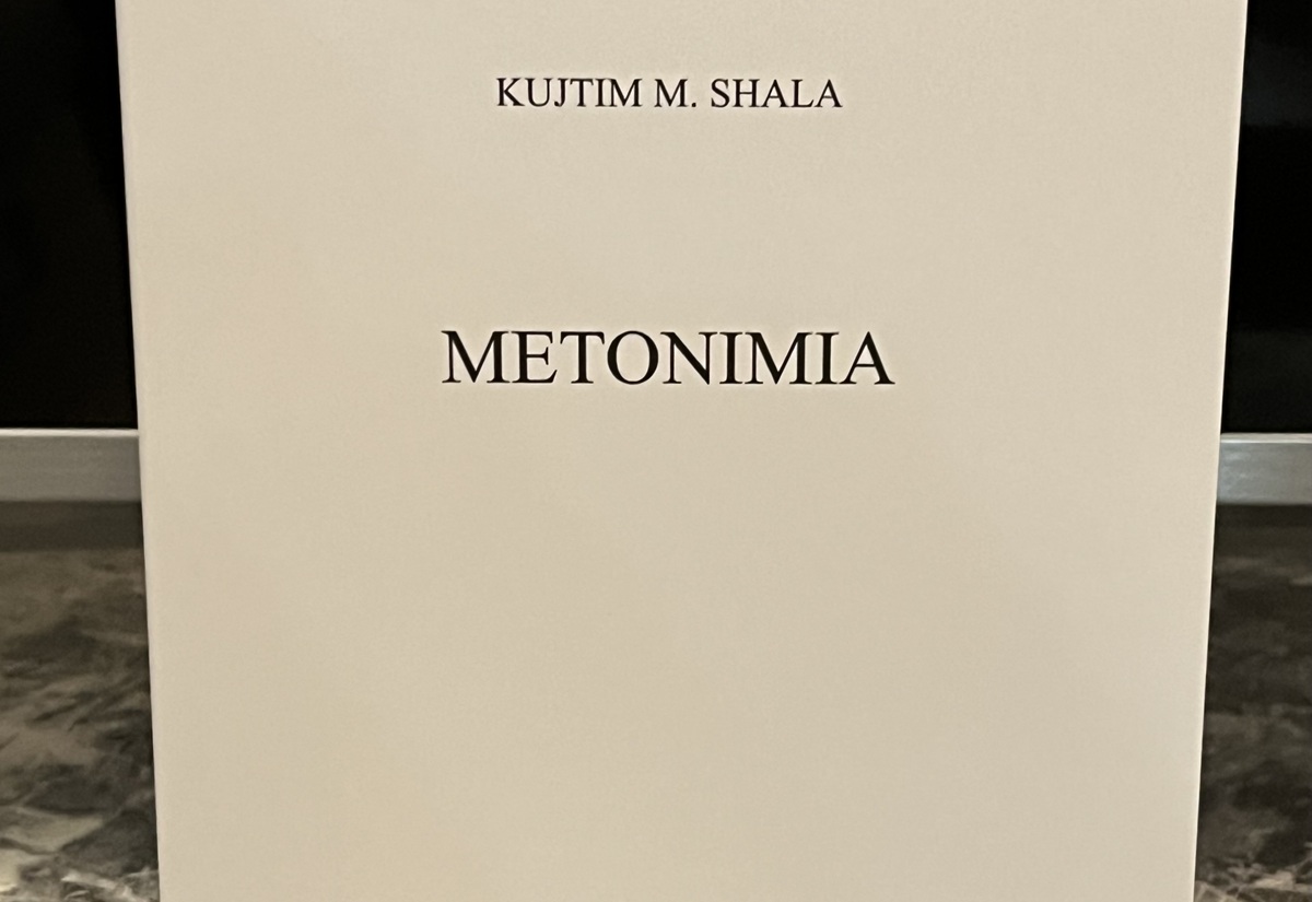 metonimia-libri-me-i-ri-i-kujtim-m-shales