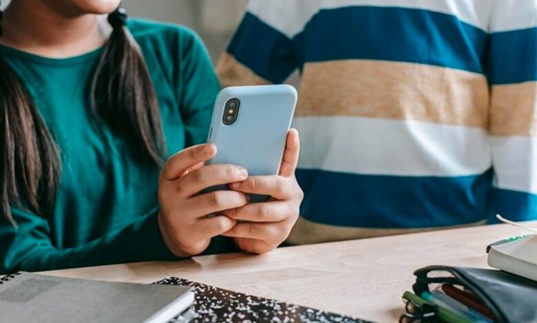 30-dite-kufizime-mesuesja-kosovare-e-cila-po-tenton-te-largoi-nxenesit-nga-telefoni