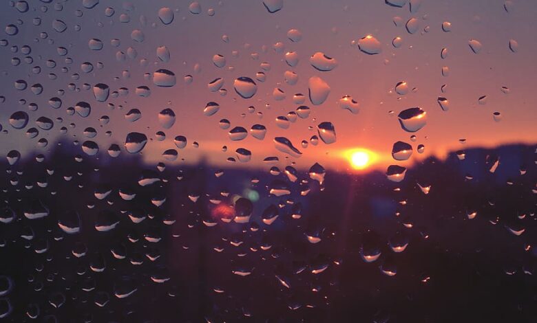 Parashikimi i motit për të martën