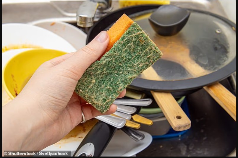 sa-shpesh-duhet-te-ndryshoni-sfungjerin-e-kuzhines-eksperti-zbulon-te-verteten