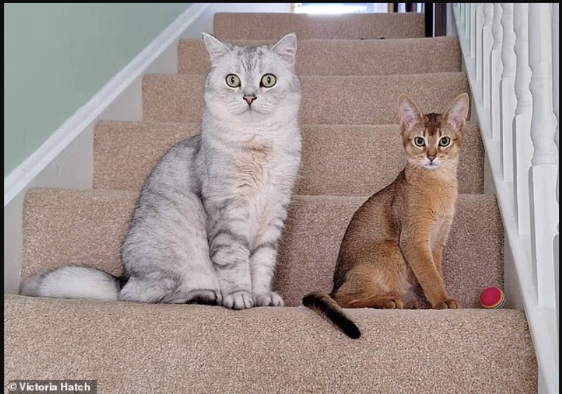 macet-aleati-i-ri-i-njeriut-ne-luften-kunder-kancerit