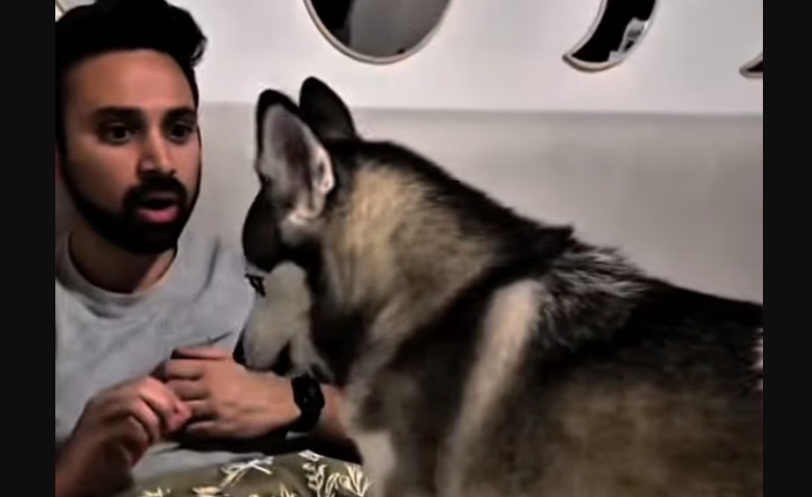 doni-qe-qeni-juaj-te-kuptoje-cdo-fjale-qe-thoni-nje-kompani-teknologjike-pretendon-se-ka-zgjidhjen