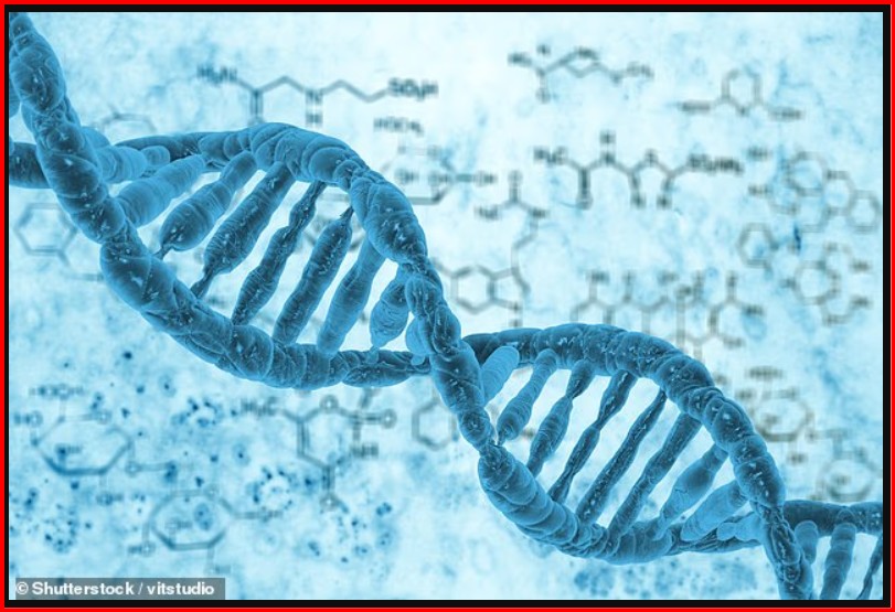 Claims about the Nordic theory: CIA, DNA and suspicions about research on extraterrestrial life