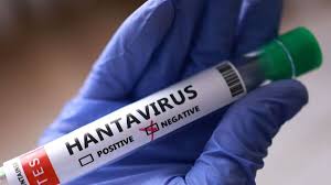 Hanta