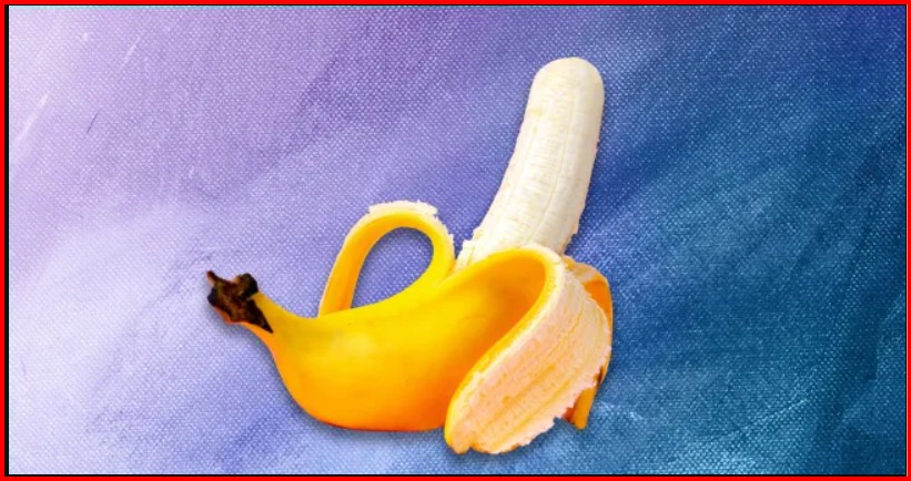 Penis