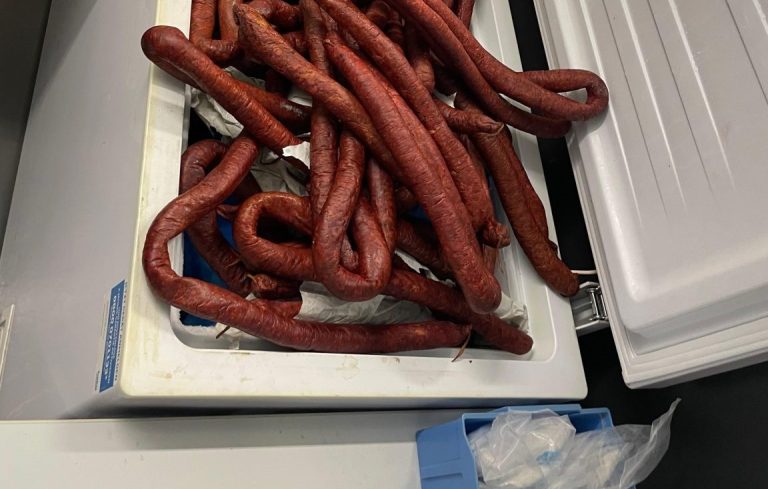 Wurst Fernbus 2 1152x1536 1 768x489 1
