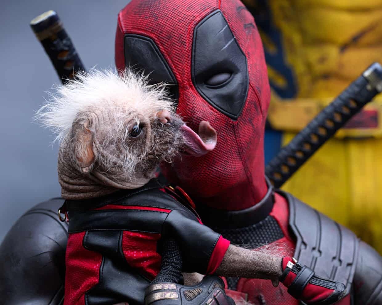 a-duhet-deadpool-te-piqet-per-t-u-bere-pjese-e-vertete-e-universit-marvel